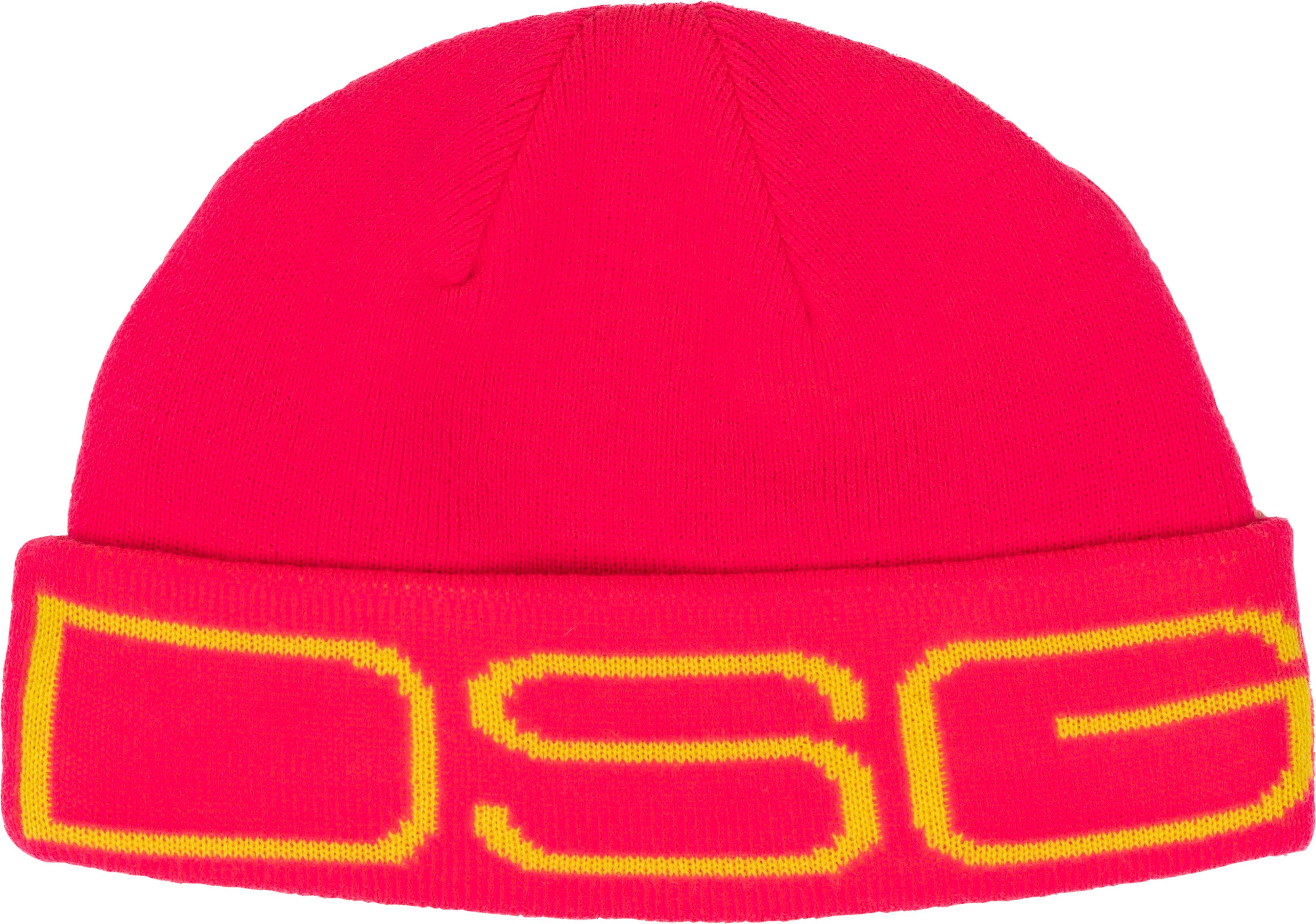 Dsg Logo Beanie Glacier - Hot Pink - Apparel Collection