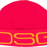Dsg Logo Beanie Glacier - Hot Pink - Apparel Collection