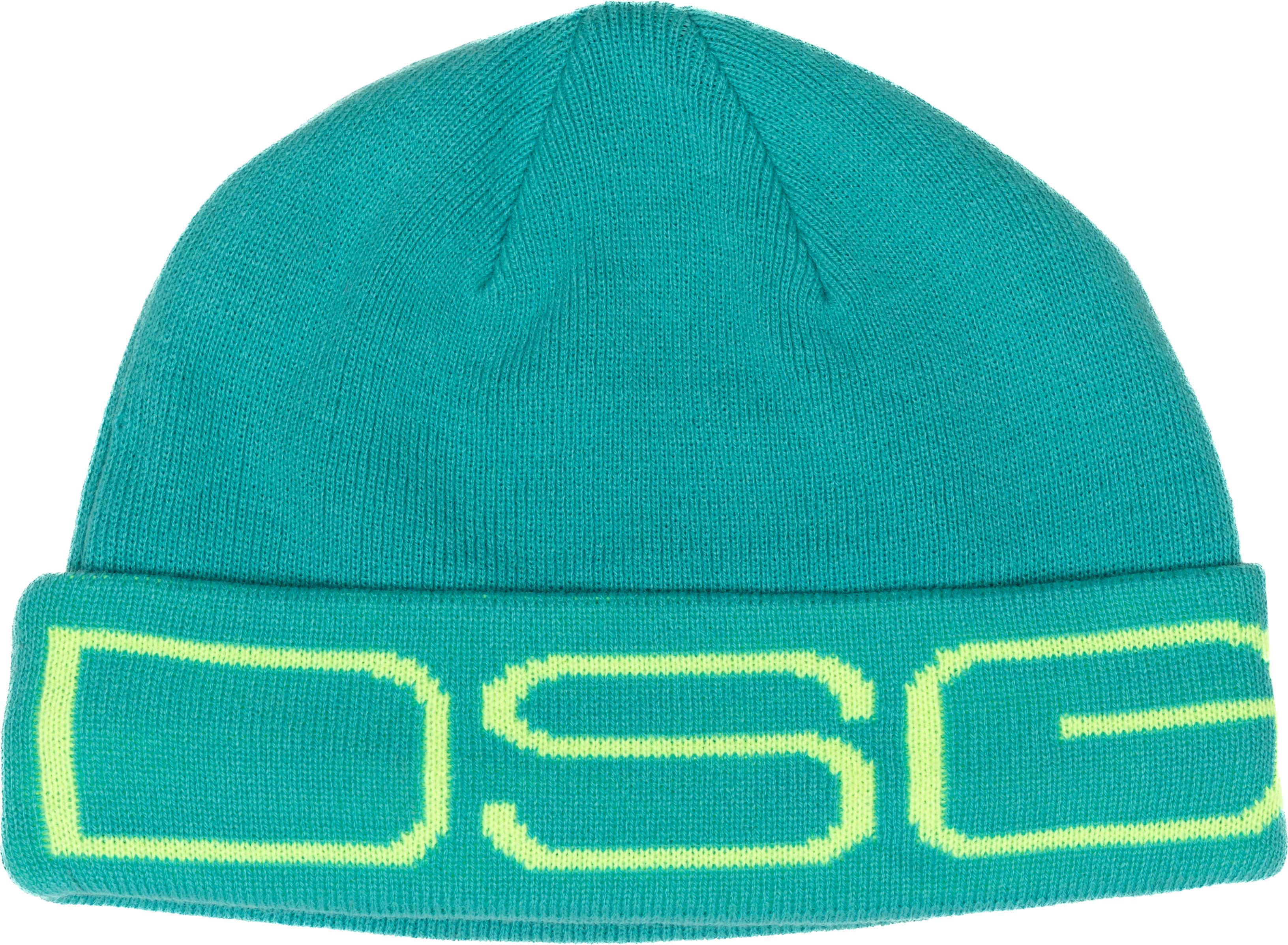 Dsg Logo Beanie Glacier - Malachite - Apparel Collection