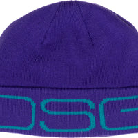 Dsg Logo Beanie Glacier - Hot Pink - Apparel Collection