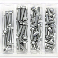 Bolt M6 Euro Torx Flange Assortment 100 Piece Kit - Tires & Wheels