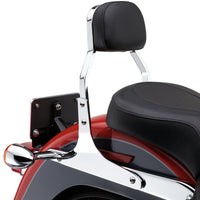 COBRA Mini Sissy Bar Chrome Flst 00 06 - Body