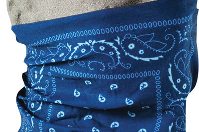 Zan Motley Tube Blue Paisley - Harddrive Products