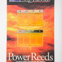 Boyesen Motorcycle Reeds - Offroad Collection