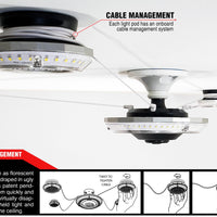 Stkr Mpi Multi Point Illumination Ceiling Light - Watercraft Collection