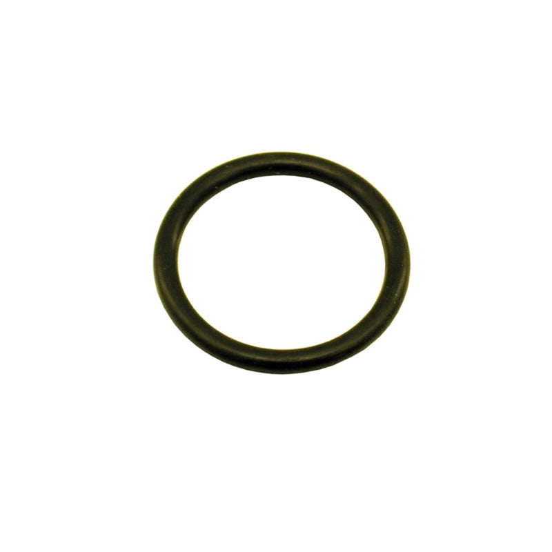Nitrous Express 1-1/8 O-Ring (Fits 5lb/10lb/12lb/15lb Bottle Valve) - Fabrication