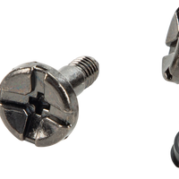 FLY RACING Odyssey Side Plate Screws (2) - Helmet Accessories