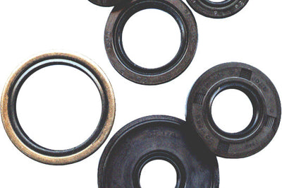 Vertex Oil Seal Set - Atv Performance Products