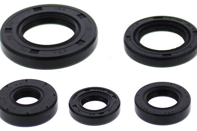 VERTEX Oil Seal Set - Gaskets/Seals