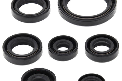 VERTEX Oil Seal Set - Gaskets/Seals