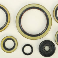 Vertex Oil Seal Set - Offroad Collection