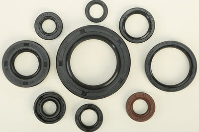 Vertex Oil Seal Set - Offroad Collection