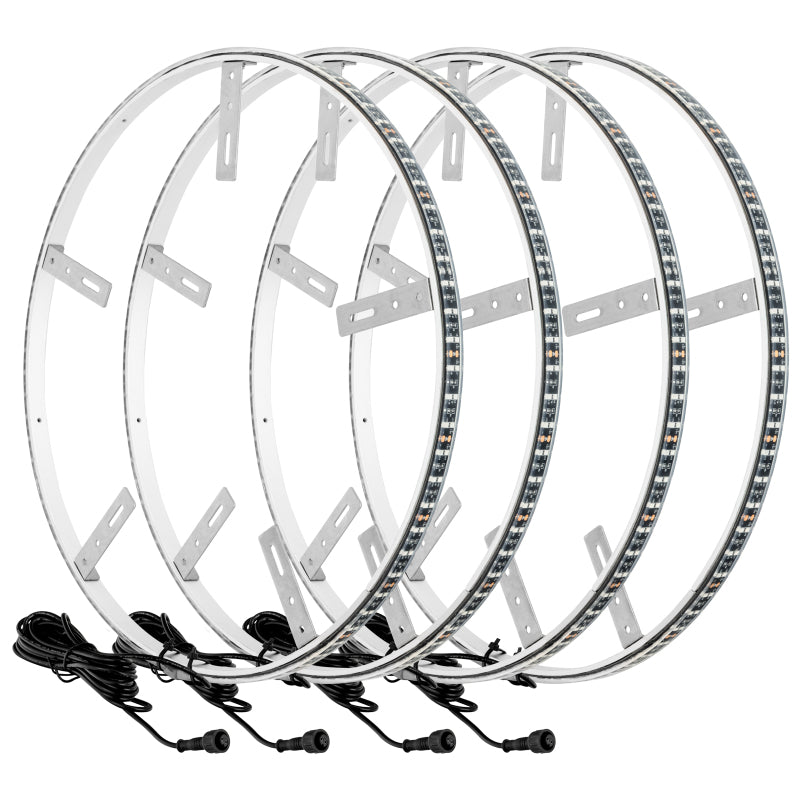 ORACLE Lighting Oracle LED Illuminated Wheel Rings - Double - White - Lights