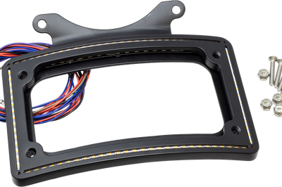 Letric Lighting Co Perfect Plate Light Lp Frame Gloss Black Indian - Matte - Harddrive Products