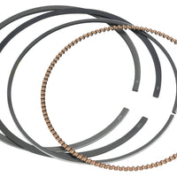 Vertex Piston Kit Cast 92.96/std 10.0:1 Pol - Atv Performance Products