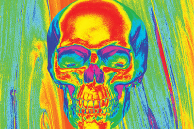 Zan Poly Micromesh Thrml Flydanna Skull - Apparel Collection