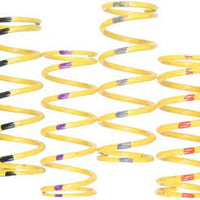 Venom Products Primary Spring S-doo - Snowmobile Collection