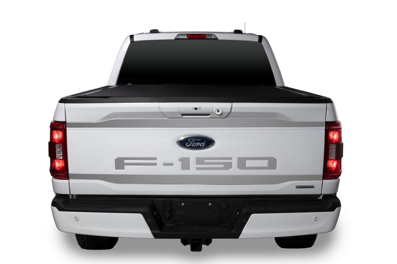 Putco 2021 Ford F-150 Lettering (Cut Letters/Stainless Steel) Tailgate Emblems - Exterior Styling