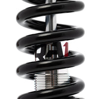QA1 15-20 Ford F-150 4WD Lowering Kit w/ Spindles Double Adjustable 3.5in-5.5in - Drivetrain