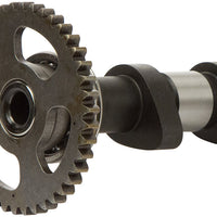 Hot Cams Racing Cam Stage 1 - Atv Performance Products
