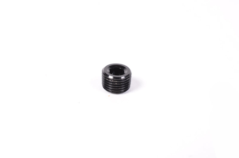 Radium Engineering 1/8in NPT Plug - Fabrication