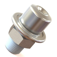 Radium Engineering Fuel Pulse Damper - Delivery