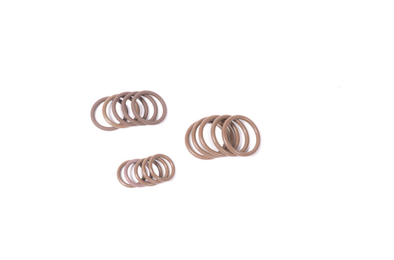 Radium Engineering O-Ring Multi Pack 6AN/8AN/10AN - Fabrication