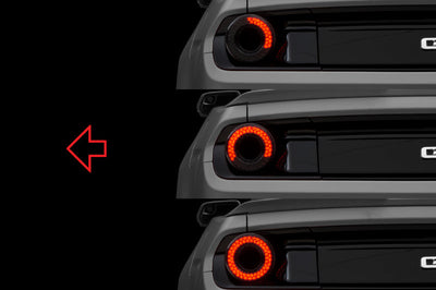 Raxiom 15-22 Ford Mustang Halo LED Tail Lights - Gloss Black Housing (Smoked Lens)
