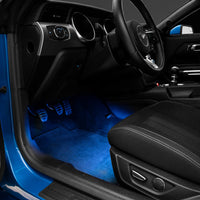 Raxiom Axial Series LED Interior Courtesy Lighting - Lights