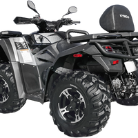 RIVAL POWERSPORTS USA Rear Bumper - Guards/Braces