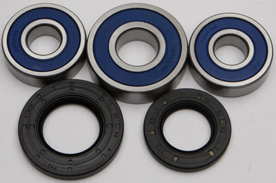 All Balls Rear Wheel Bearing Kit - Street Collection