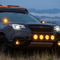 Rigid Industries 360-Series 6in SAE Fog w/ Amber PRO Lens - White (Pair) - Lights