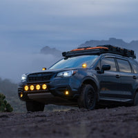 Rigid Industries D-SS Spot w/ Amber PRO Lens (Pair) - Lights