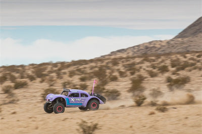 Rigid Industries x SHREDDY 360-Series 4in Lights w/Wt Bcklght (2) + 6 Covers (2 Pink/2 Teal/2 Blk)