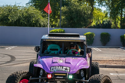Rigid Industries x SHREDDY 360-Series 4in Lights w/Wt Bcklght (2) + 6 Covers (2 Pink/2 Teal/2 Blk)