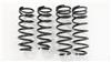 RS-R 01-06 Lexus LS430 (UCF30/31) Super Down Springs - Suspension