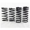 RS-R 05-13 Lexus IS250/350 RWD (GSE20/GSE21) Down Sus Springs - Suspension
