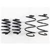 RS-R 09 + Nissan GT-R TI2000 Down Sus Springs - Suspension
