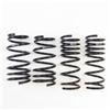 RS-R 13-16 Scion FR-S (ZN6) Super Down Springs - Suspension