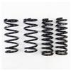 RS-R 13 + Lexus GS350 AWD (GRL15) Down Sus Springs - Suspension