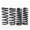 RS-R 13 + Lexus GS350 RWD F-Sport (GRL10) Down Sus Springs - Suspension