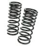 RS-R 13 + Nissan Altima (L33) Down Sus Springs - Suspension