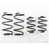 RS-R 13 + Nissan Sentra (TB17 (B17)) Down Sus Springs - Suspension