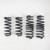 RS-R 15 + Lexus RC350 AWD (GSC10) Super Down Sus Springs - Suspension