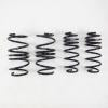 RS-R 15 + Lexus RC350 RWD (GSC10) Super Down Sus Springs - Suspension