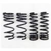 RS-R 2014-2020 Lexus IS250/350 RWD/AWD (GSE30/GSE31) Super Down Springs - Suspension