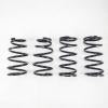 RS-R 2016 + Lexus RX350 AWD Down Sus Springs - Suspension