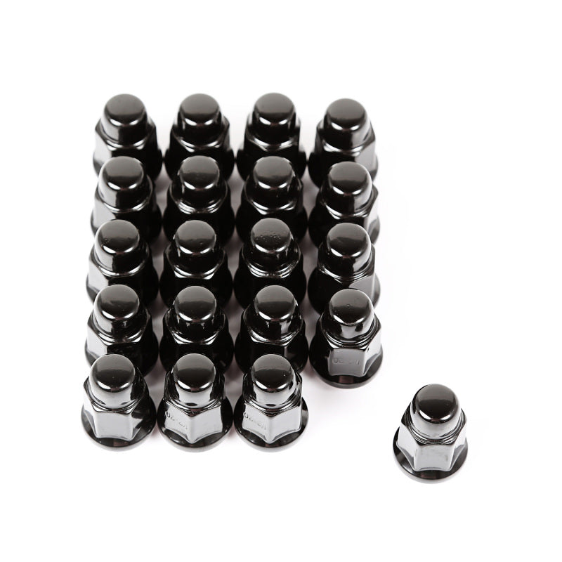 Rugged Ridge Wheel Lug Nut Set of 20 Black 1/2-20 - and Tire Accessories