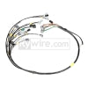 Rywire 13B Haltech Mil-Spec Eng Harness w/EV14 Inj/Denso 5th/6th Inj/Delphi Press Sensor/Bosch Knock - Engine Components