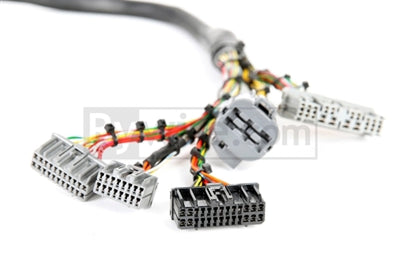 Rywire Honda B/D-Series Mil-Spec Eng Harness w/OBD1 Dist/Inj/Alternator & 92-95 Plugs (Adapter Req) - Engine Components